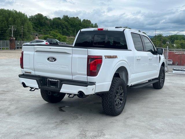 FORD F-150 TREMOR - 3