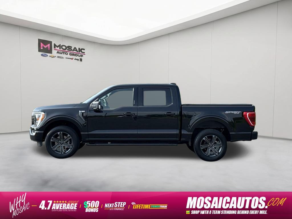 صورة مصغرة 4 لـ 2023 FORD F-150 XLT