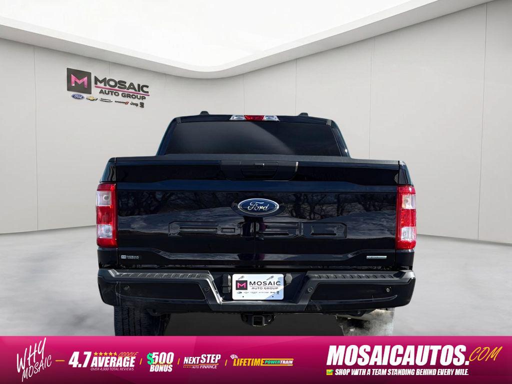 2023 FORD F-150 XL 照片 4