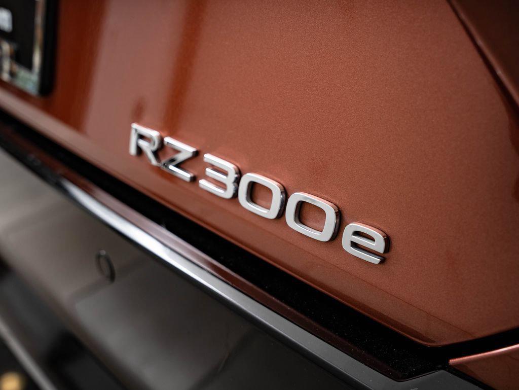 2024 Lexus RZ 300E PREMIUM 缩略图 15