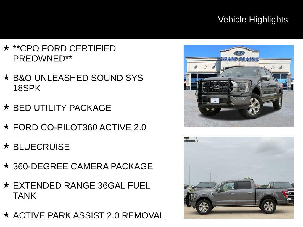 FORD F-150 PLATINUM - 5