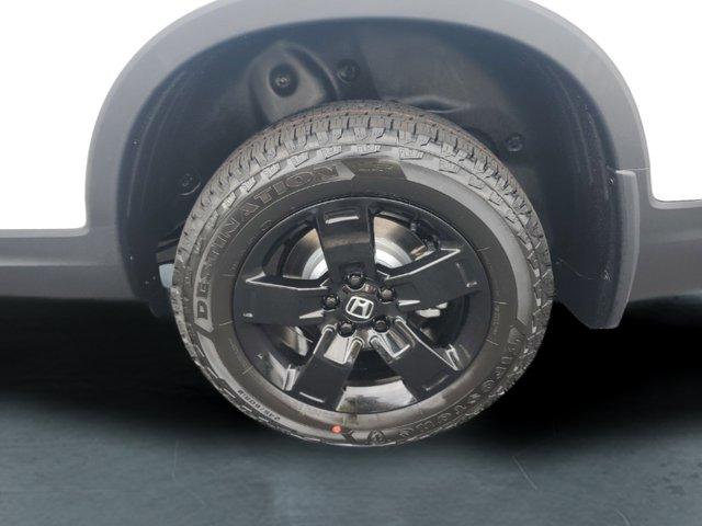 2026 Honda RIDGELINE BLACK EDITION thumbnail 14