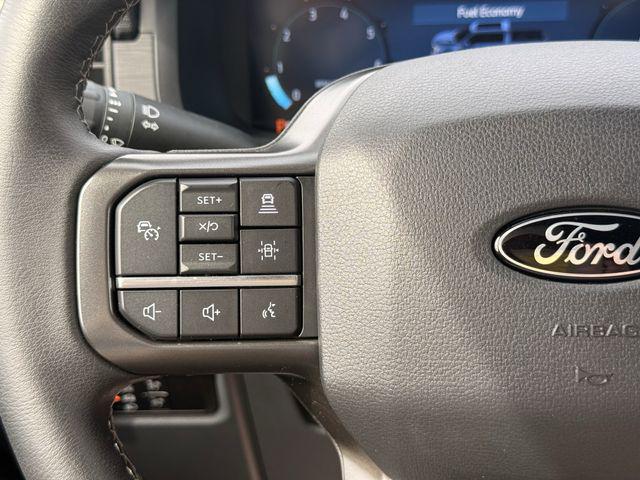 2024 FORD F-150 XLT 缩略图 25