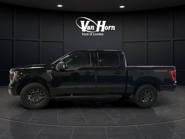 FORD F-150 TREMOR - 4