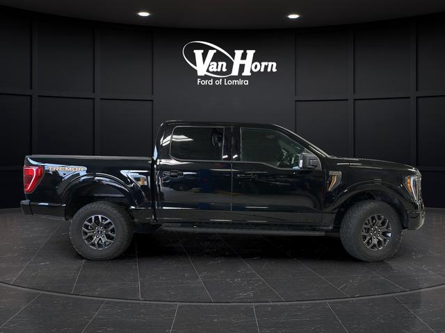 FORD F-150 TREMOR - 8