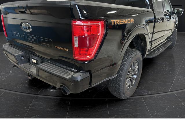 FORD F-150 TREMOR - 9
