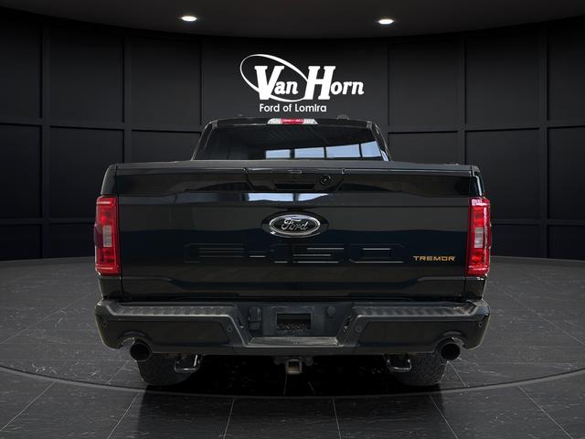 FORD F-150 TREMOR - 6