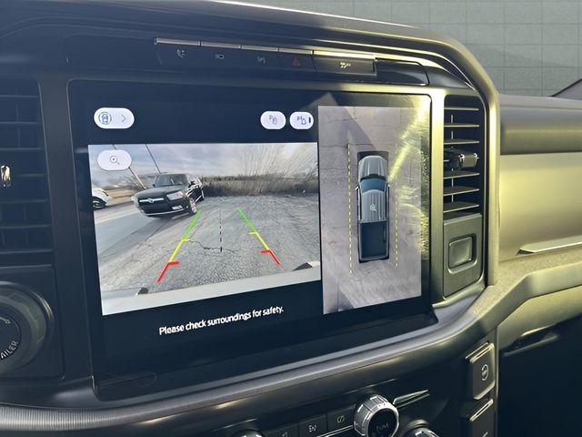 FORD F-150 PLATINUM - 10
