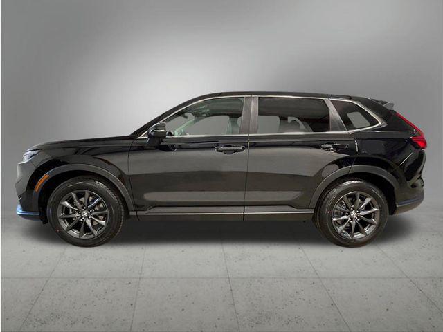 HONDA CR-V EX-L AWD - 2