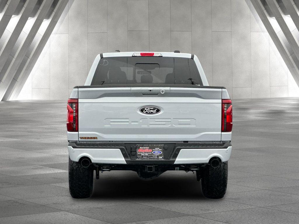 FORD F-150 TREMOR - 4