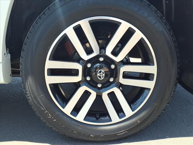 2023 Toyota 4RUNNER LIMITED 照片 9