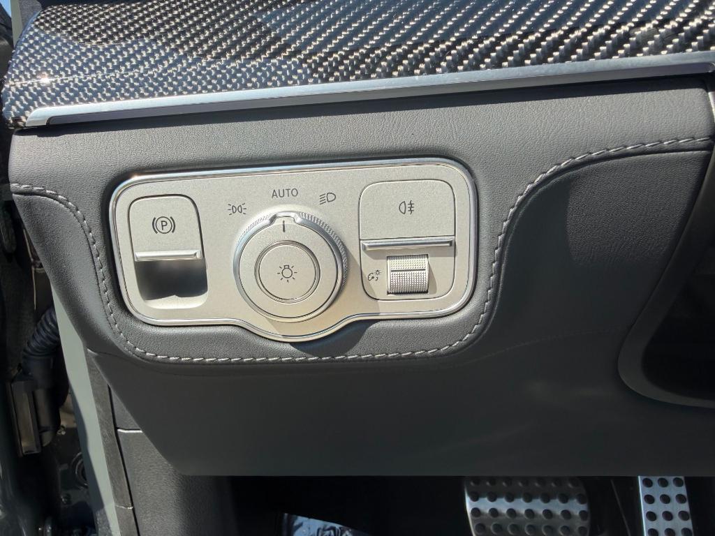 2025 Mercedes-BENZ AMG GLS 63 BASE 照片 12