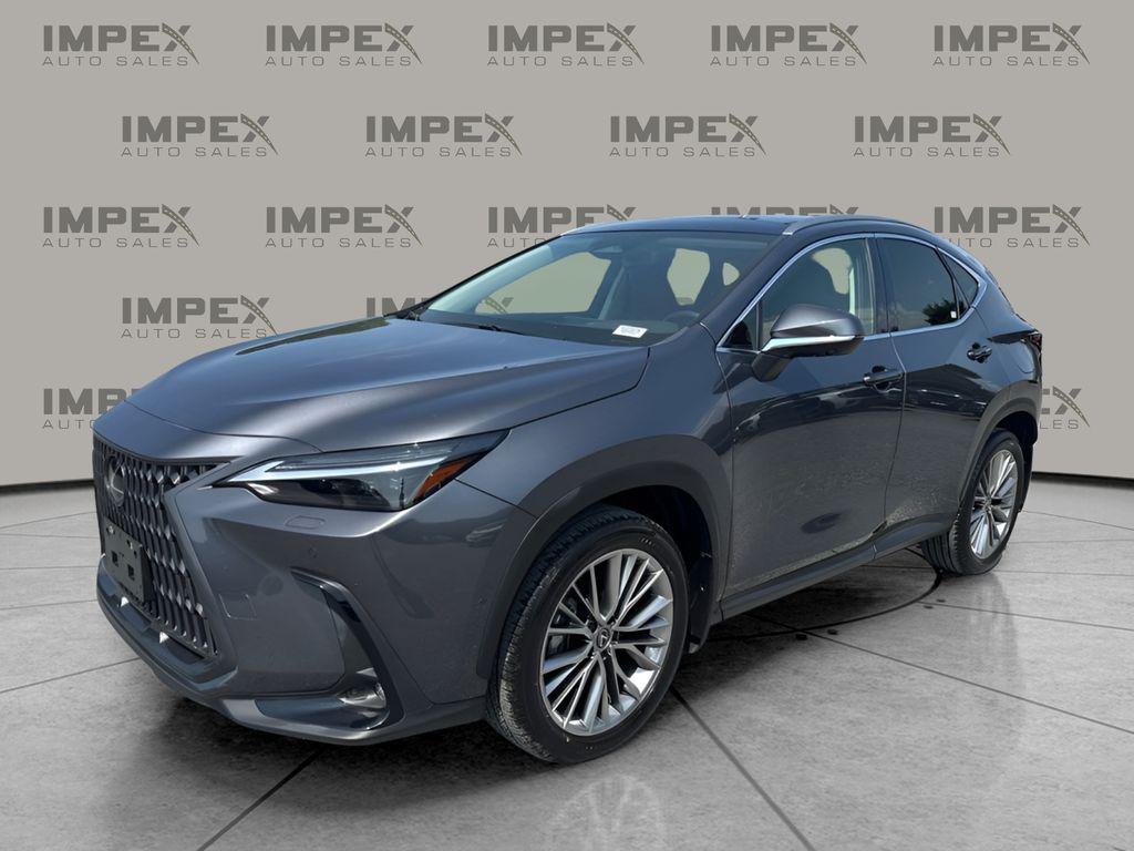2024 Lexus NX 350H LUXURY 照片 1