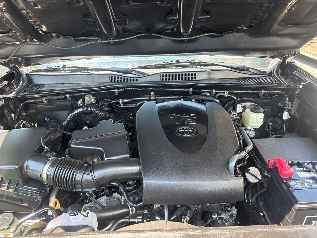 2023 Toyota TACOMA SR 缩略图 12