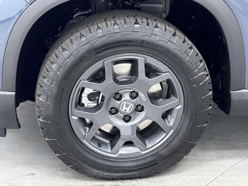 2026 Honda PILOT TRAILSPORT — фото 10