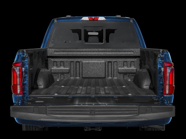 FORD F-150 PLATINUM - 8