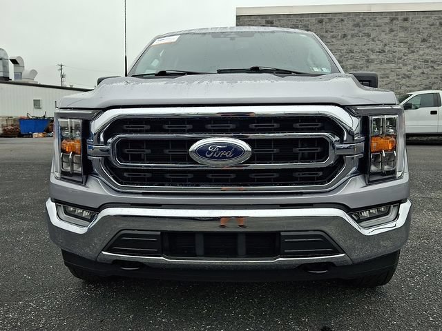 2023 FORD F-150 XLT 照片 2