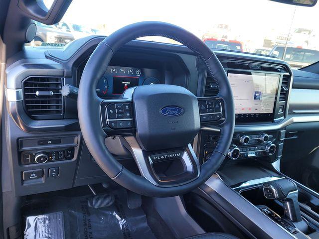 FORD F-150 PLATINUM - 6
