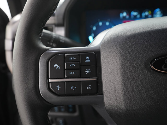 صورة مصغرة 29 لـ 2025 FORD F-150 LARIAT
