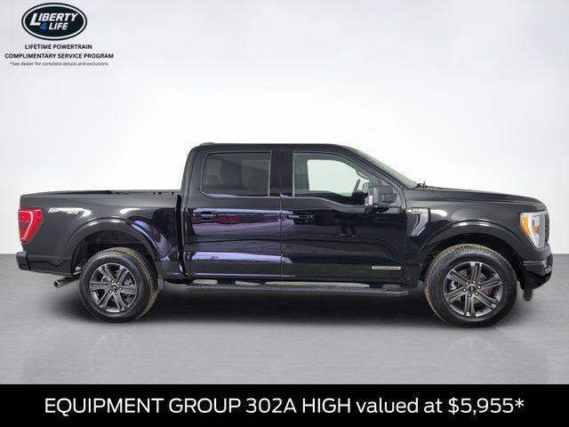 FORD F-150 XLT - 2