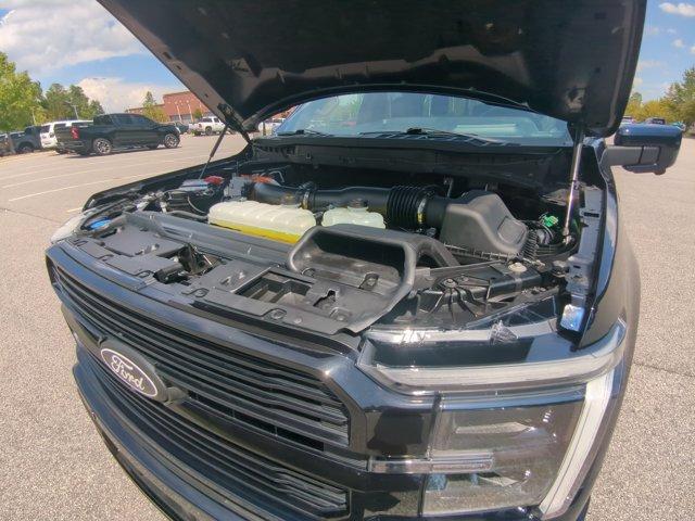 2025 FORD F-150 PLATINUM 缩略图 28