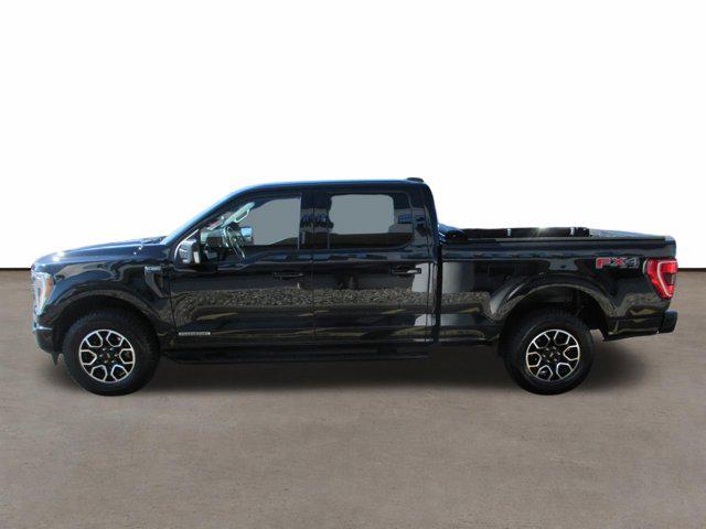 FORD F-150 XLT - 6