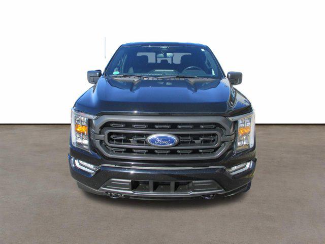 FORD F-150 XLT - 8