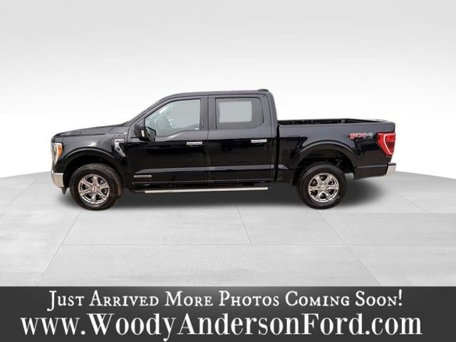 FORD F-150 XLT - 3