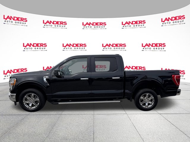 FORD F-150 XL - 5