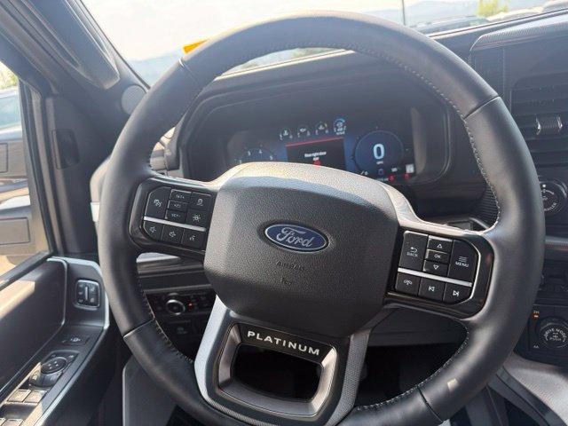 2025 FORD F-150 PLATINUM 缩略图 25