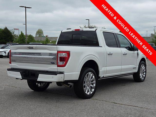 FORD F-150 LIMITED - 5