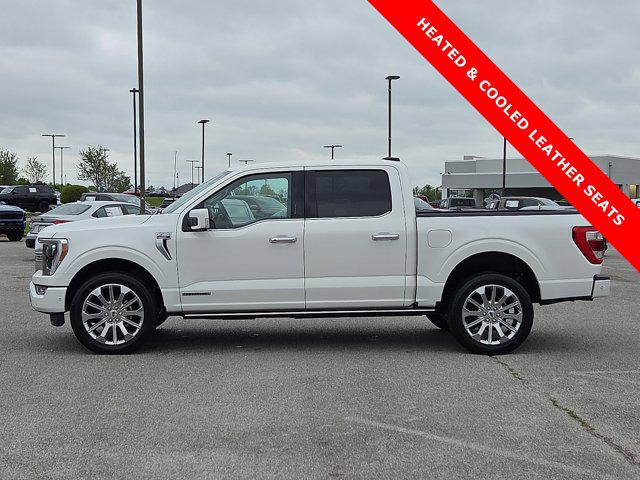 FORD F-150 LIMITED - 3