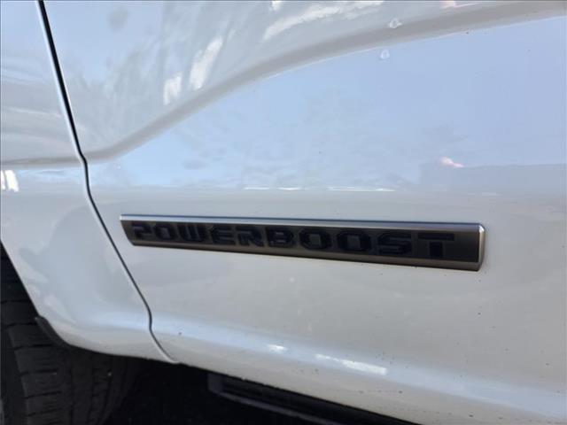 FORD F-150 PLATINUM - 10