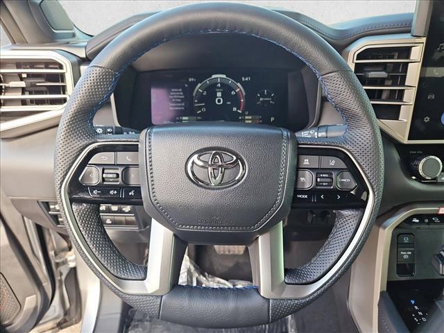 2026 Toyota TUNDRA PLATINUM 照片 14