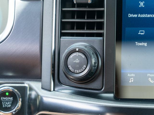 2021 FORD F-150 PLATINUM 缩略图 33