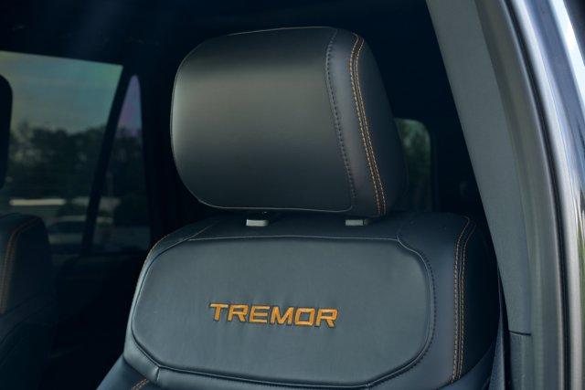 صورة مصغرة 12 لـ 2025 FORD EXPEDITION TREMOR
