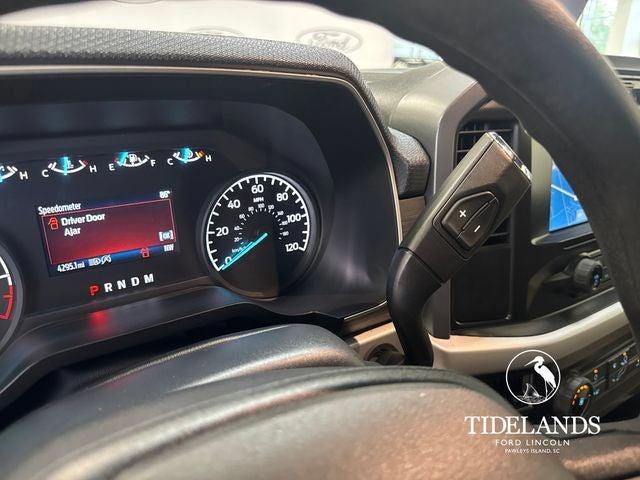 صورة مصغرة 29 لـ 2023 FORD F-150 XLT