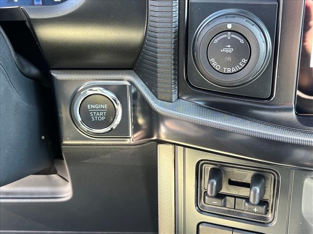 FORD F-150 PLATINUM - 9