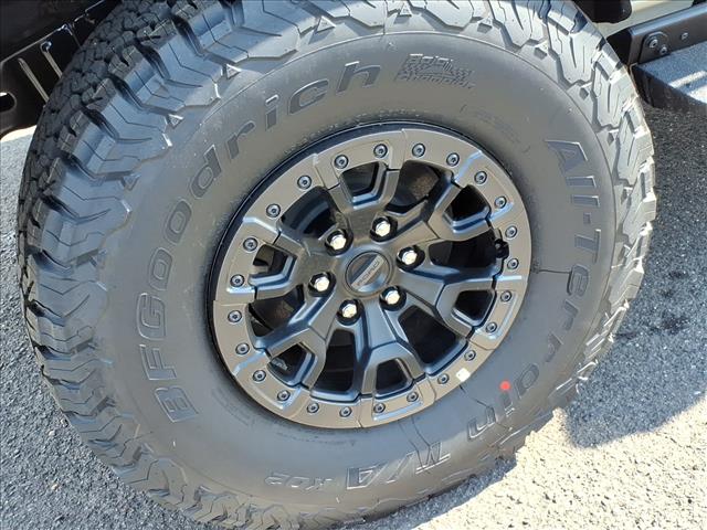 FORD BRONCO RAPTOR - 7