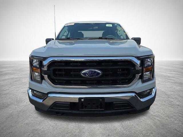 صورة 3 لـ 2023 FORD F-150 XLT