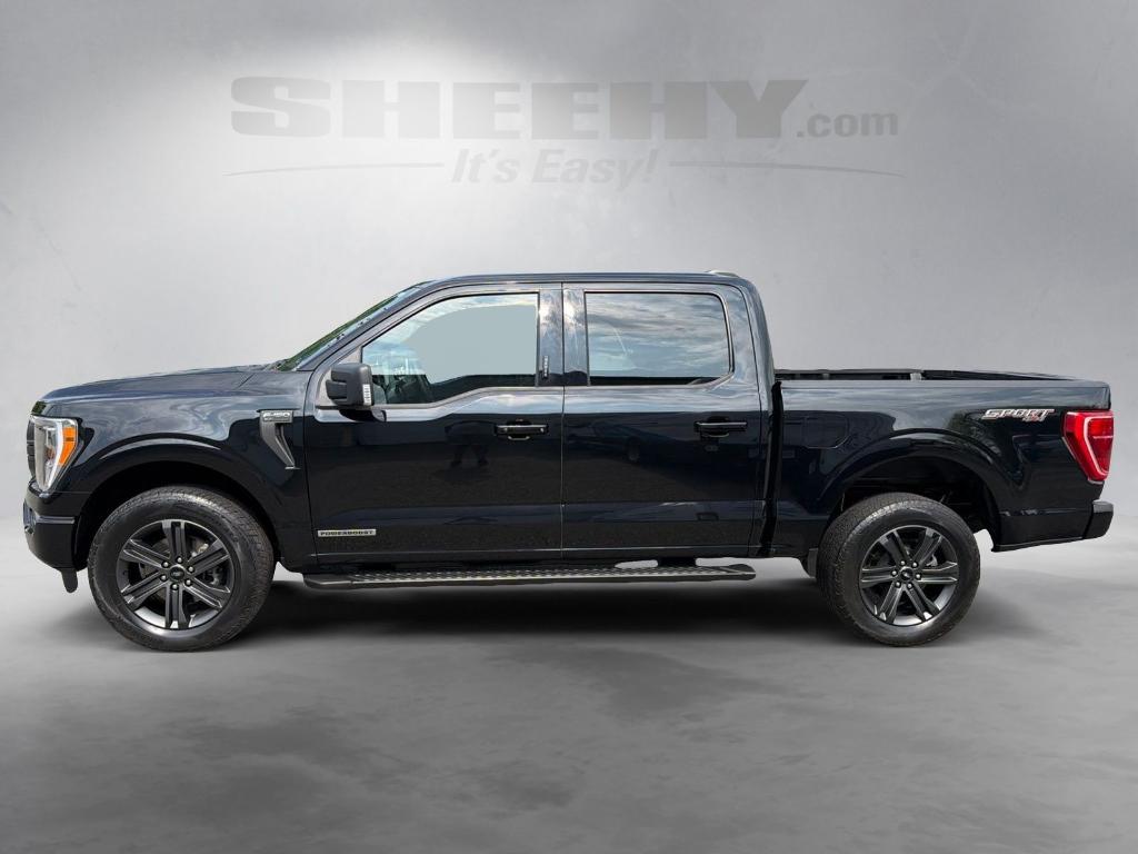 2023 FORD F-150 XLT 缩略图 15
