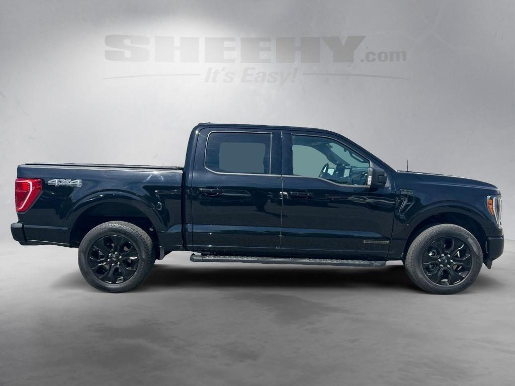 صورة 10 لـ 2023 FORD F-150 XLT