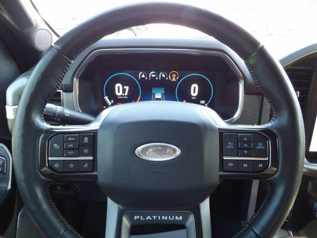 2023 FORD F-150 PLATINUM — миниатюра 18