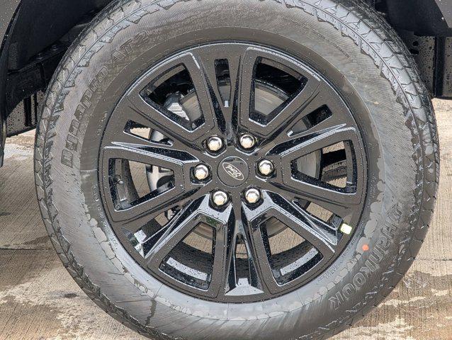 FORD F-150 PLATINUM - 10