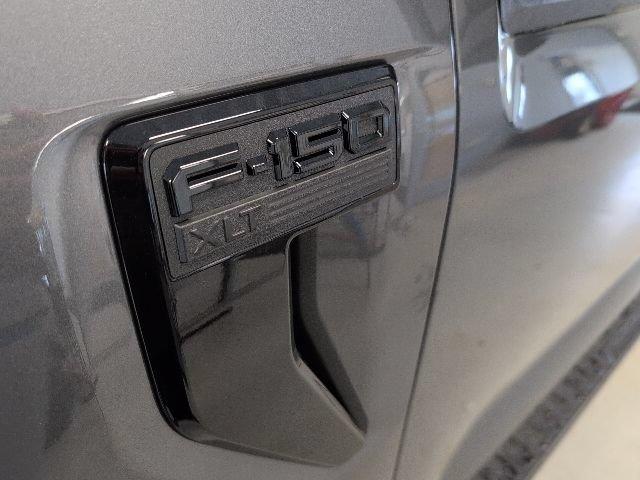 2026 FORD F-150 XLT 照片 8