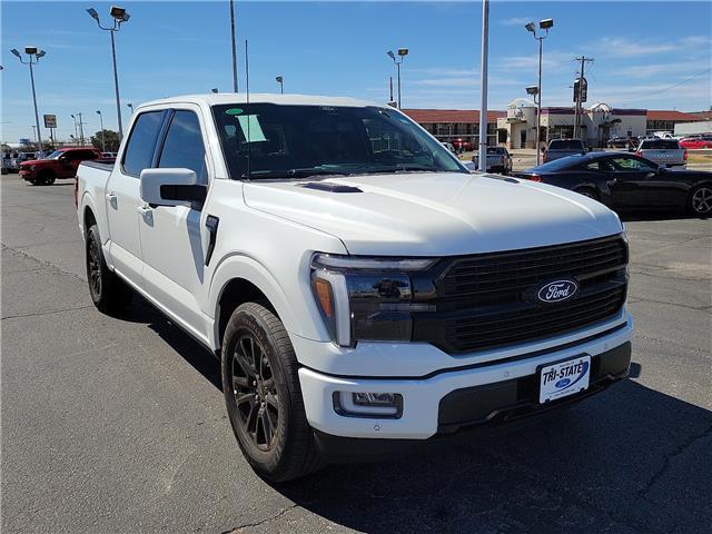 FORD F-150 PLATINUM - 6