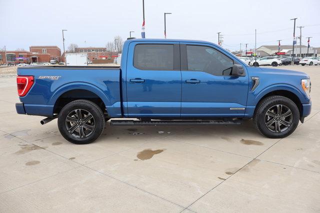 FORD F-150 XLT - 5