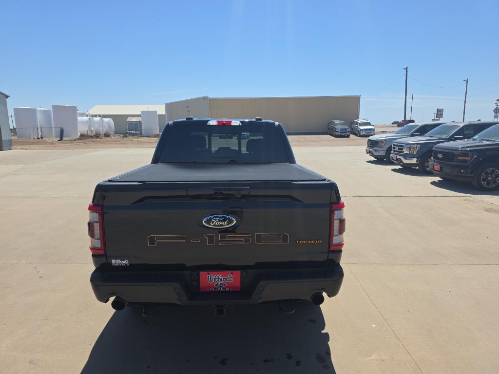 صورة مصغرة 13 لـ 2022 FORD F-150 TREMOR