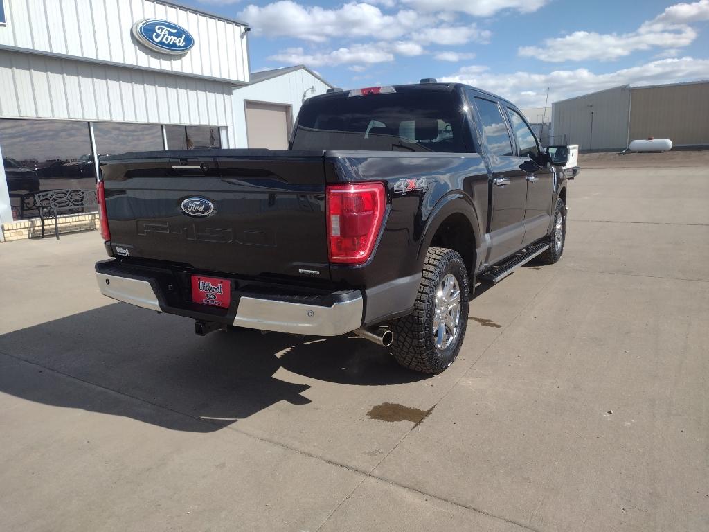 FORD F-150 XLT - 5