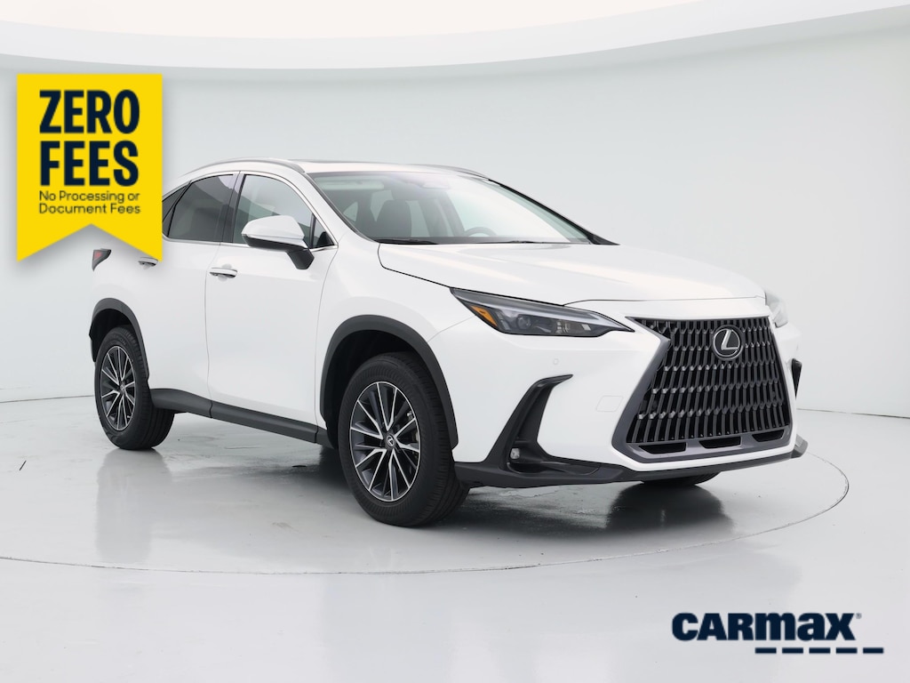 2025 Lexus NX 250 PREMIUM 照片 1